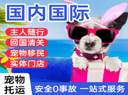 镶黄旗新宝拉格空运国际宠物托运 【国